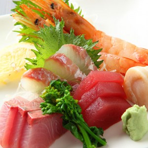 sashimi